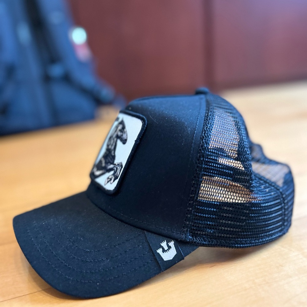 Black Cap - Picture 3 of 3